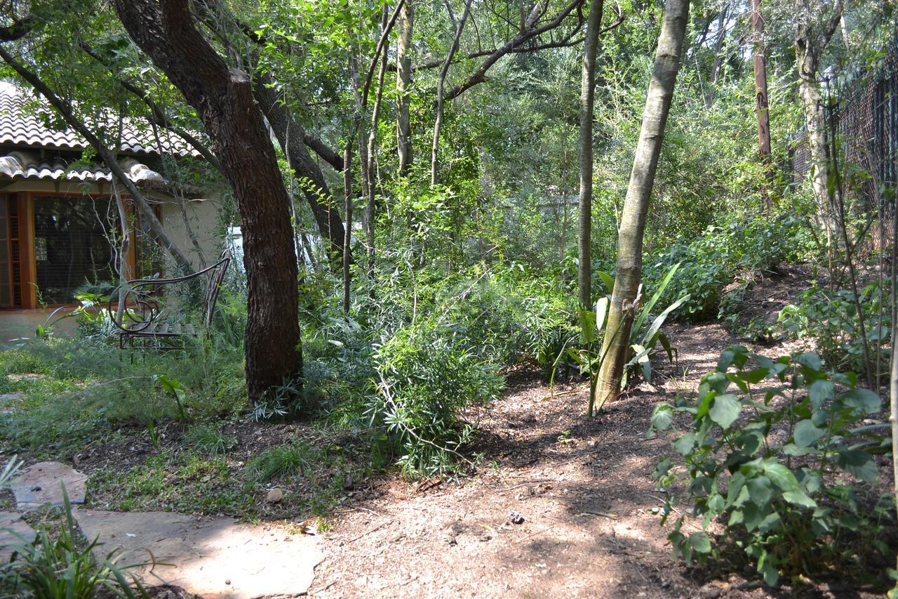 יוהנסבורג Lydall Wild Tranquil Garden Suites מראה חיצוני תמונה